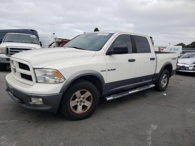 DODGE RAM 1500 2009 1d3hb13t09s809046