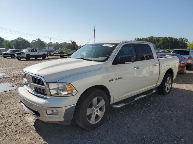 DODGE RAM 1500 2009 1d3hb13t39s701617