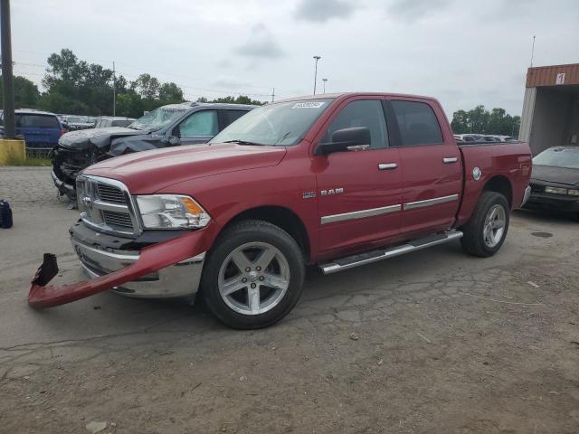 DODGE RAM 1500 2009 1d3hb13t39s770355