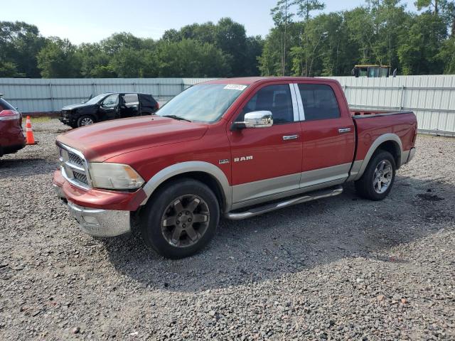 DODGE RAM 1500 2009 1d3hb13t49j501349