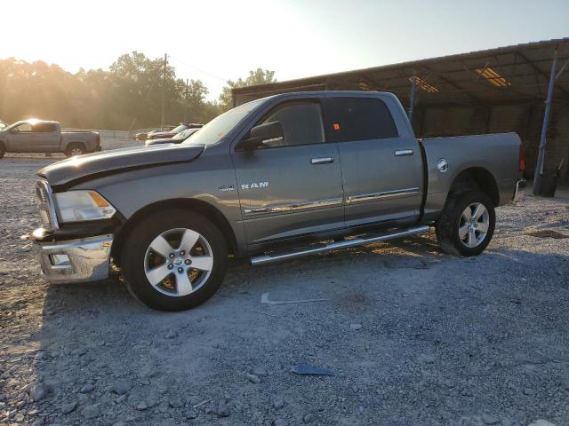 DODGE RAM 1500 2009 1d3hb13t59s768963