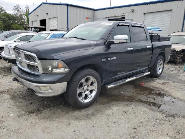 DODGE ALL MODELS 2009 1d3hb13t69j501188