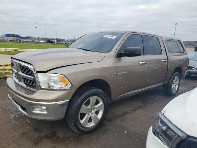 DODGE RAM 1500 2009 1d3hb13t69j508920