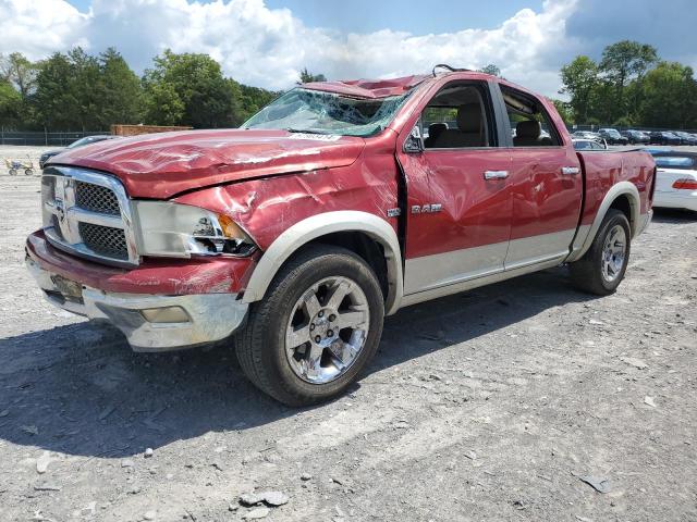 DODGE RAM 1500 2009 1d3hb13t89s710846