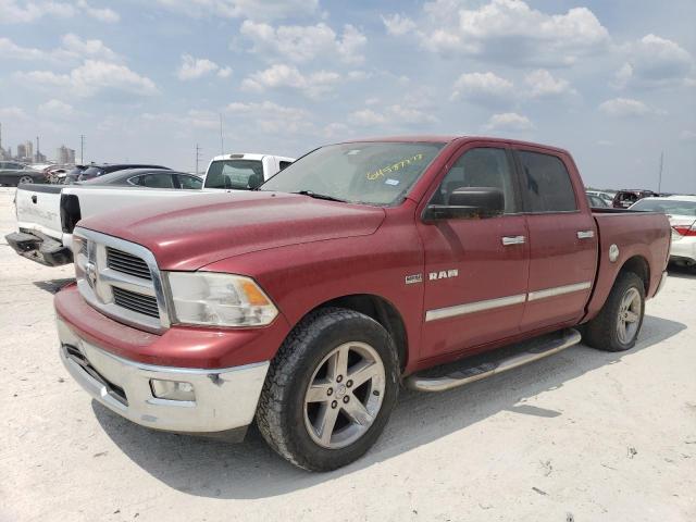 DODGE RAM 1500 2009 1d3hb13t89s769699