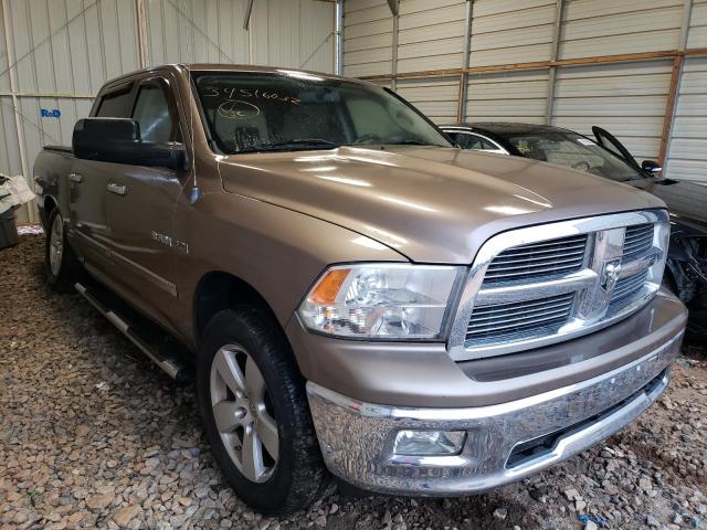 DODGE RAM 1500 2009 1d3hb13t89s769802