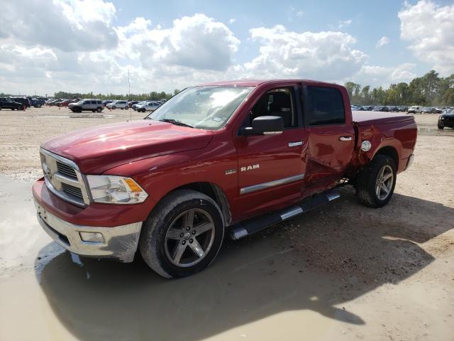 DODGE RAM 1500 2009 1d3hb13tx9s767002