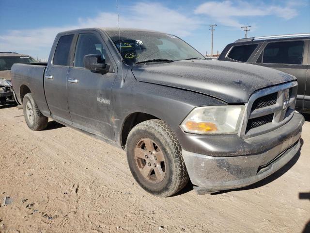 DODGE RAM 1500 2009 1d3hb18px9s815139