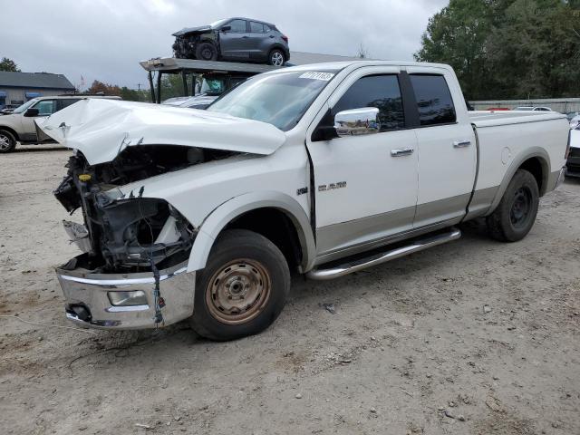 DODGE ALL MODELS 2009 1d3hb18t29s735413