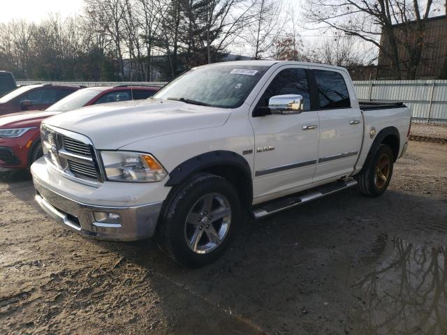 DODGE RAM 1500 2009 1d3hv13t09s770840