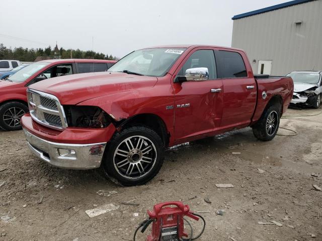 DODGE RAM 1500 2009 1d3hv13t19s717418