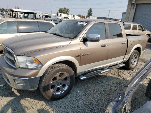 DODGE RAM 1500 2009 1d3hv13t29j515970