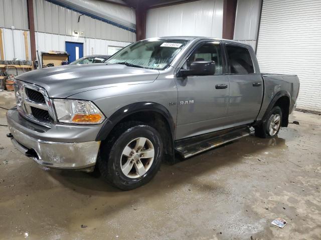 DODGE RAM 1500 2009 1d3hv13t29s739864