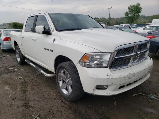 DODGE RAM 1500 2009 1d3hv13t39s741946