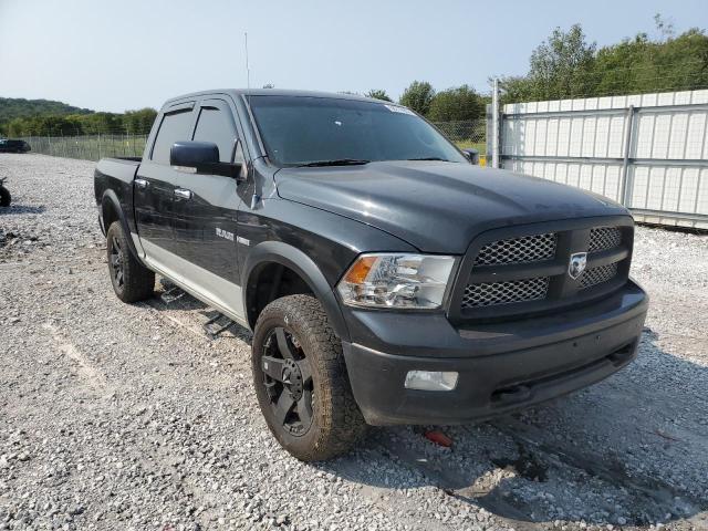 DODGE RAM 1500 2009 1d3hv13t49j528798