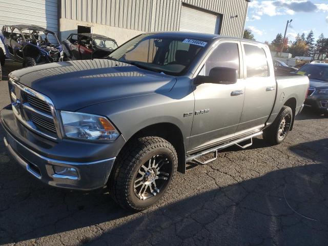 DODGE RAM 1500 2009 1d3hv13t49s744208