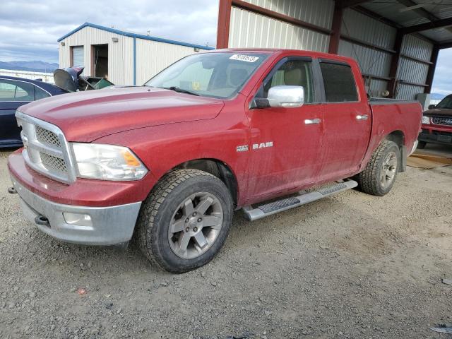 DODGE RAM 1500 2009 1d3hv13t49s746699