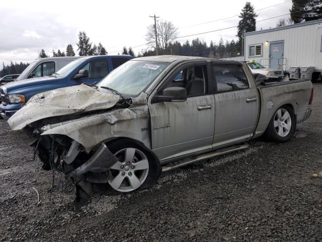 DODGE RAM 1500 2009 1d3hv13t59s721911