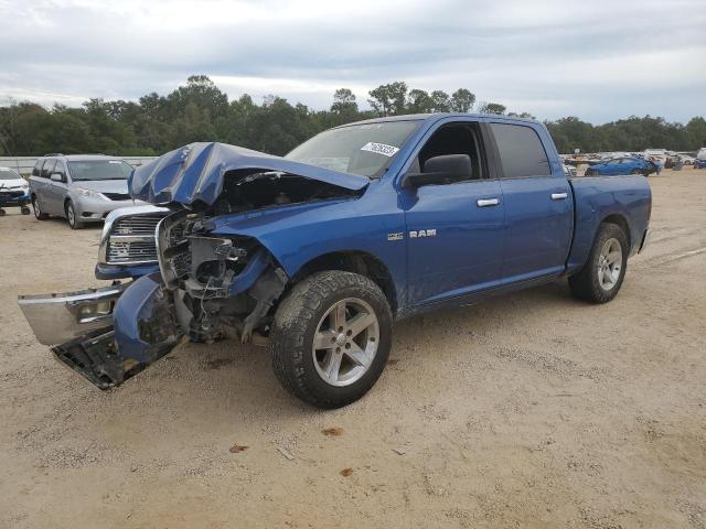 DODGE RAM 1500 2009 1d3hv13t69s701909