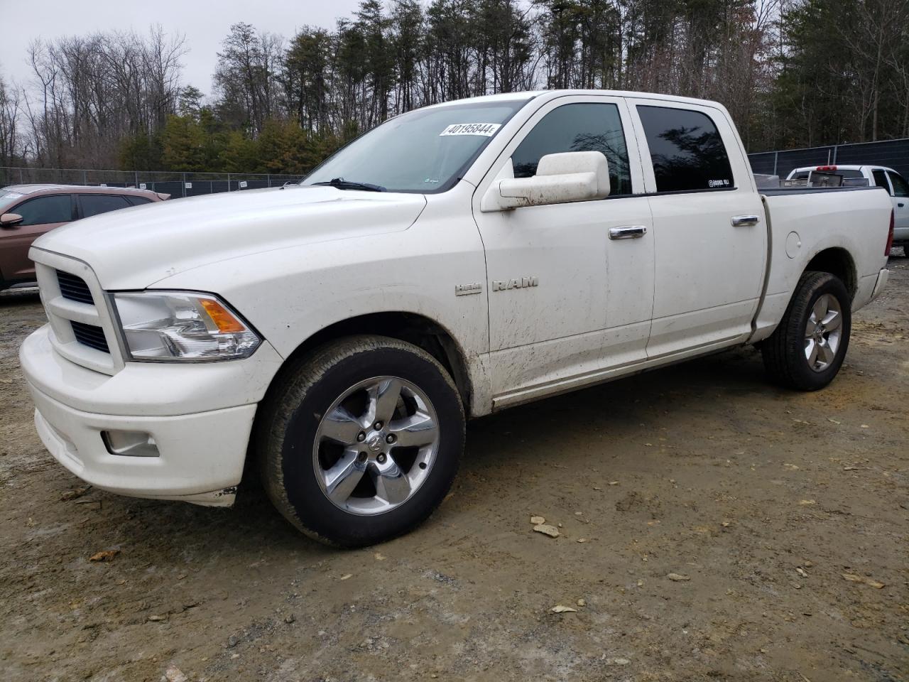 DODGE RAM 2009 1d3hv13t69s705765