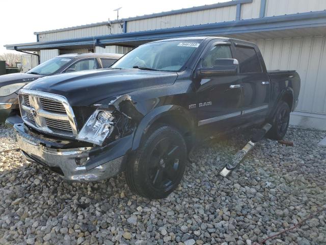 DODGE ALL MODELS 2009 1d3hv13t69s726650