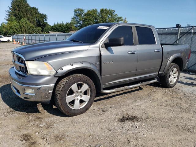 DODGE RAM 1500 2009 1d3hv13t79j510893