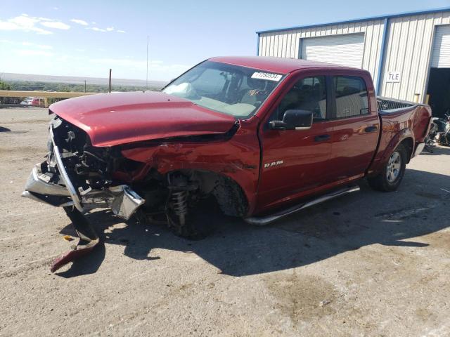 DODGE RAM 1500 2009 1d3hv13t89j508618