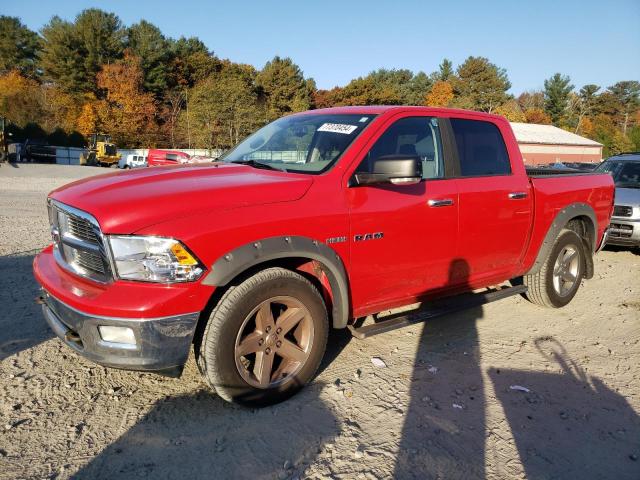 DODGE RAM 1500 2009 1d3hv13tx9j504411