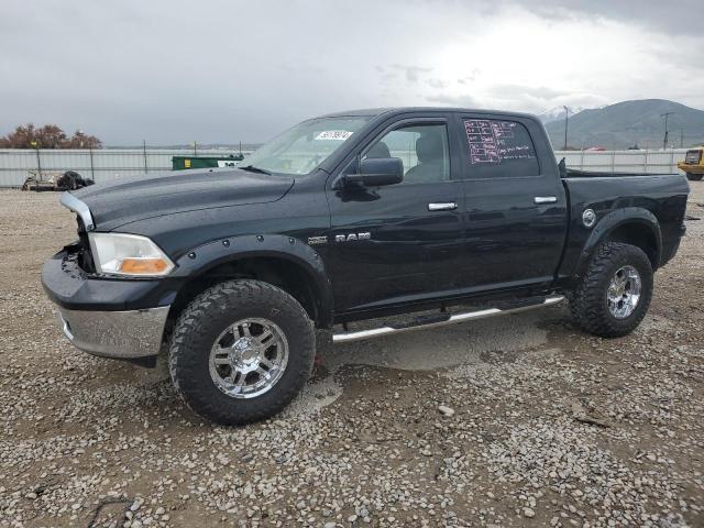 DODGE RAM 1500 2009 1d3hv13tx9s768383