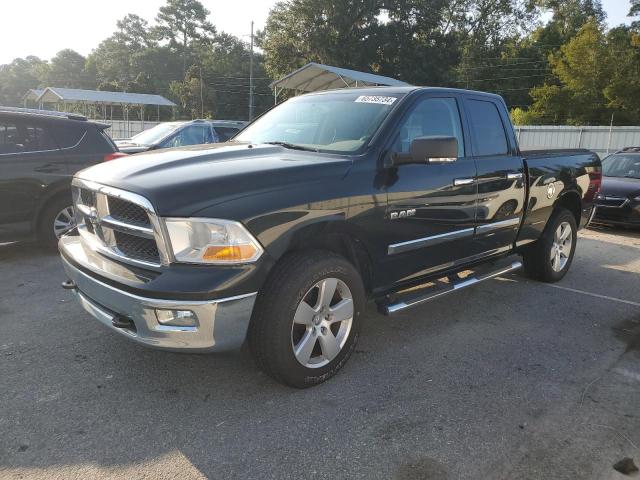 DODGE RAM 1500 2009 1d3hv18px9s768198