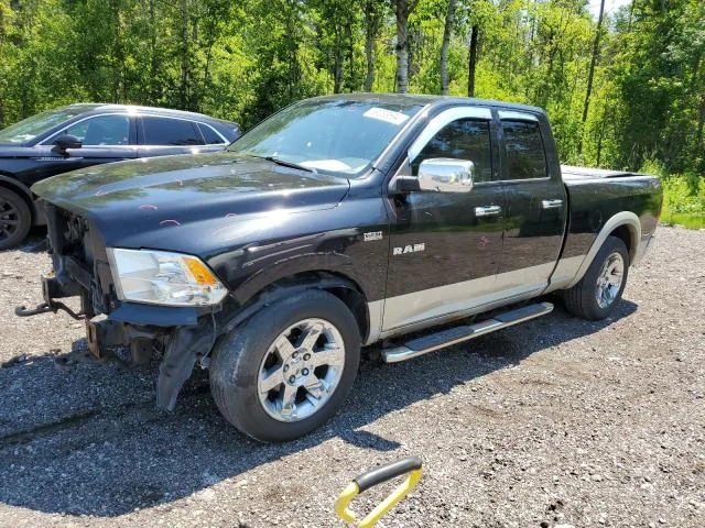 DODGE RAM 1500 2009 1d3hv18t49s733606