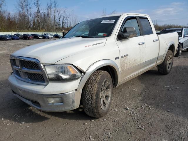 DODGE ALL MODELS 2009 1d3hv18t49s782417