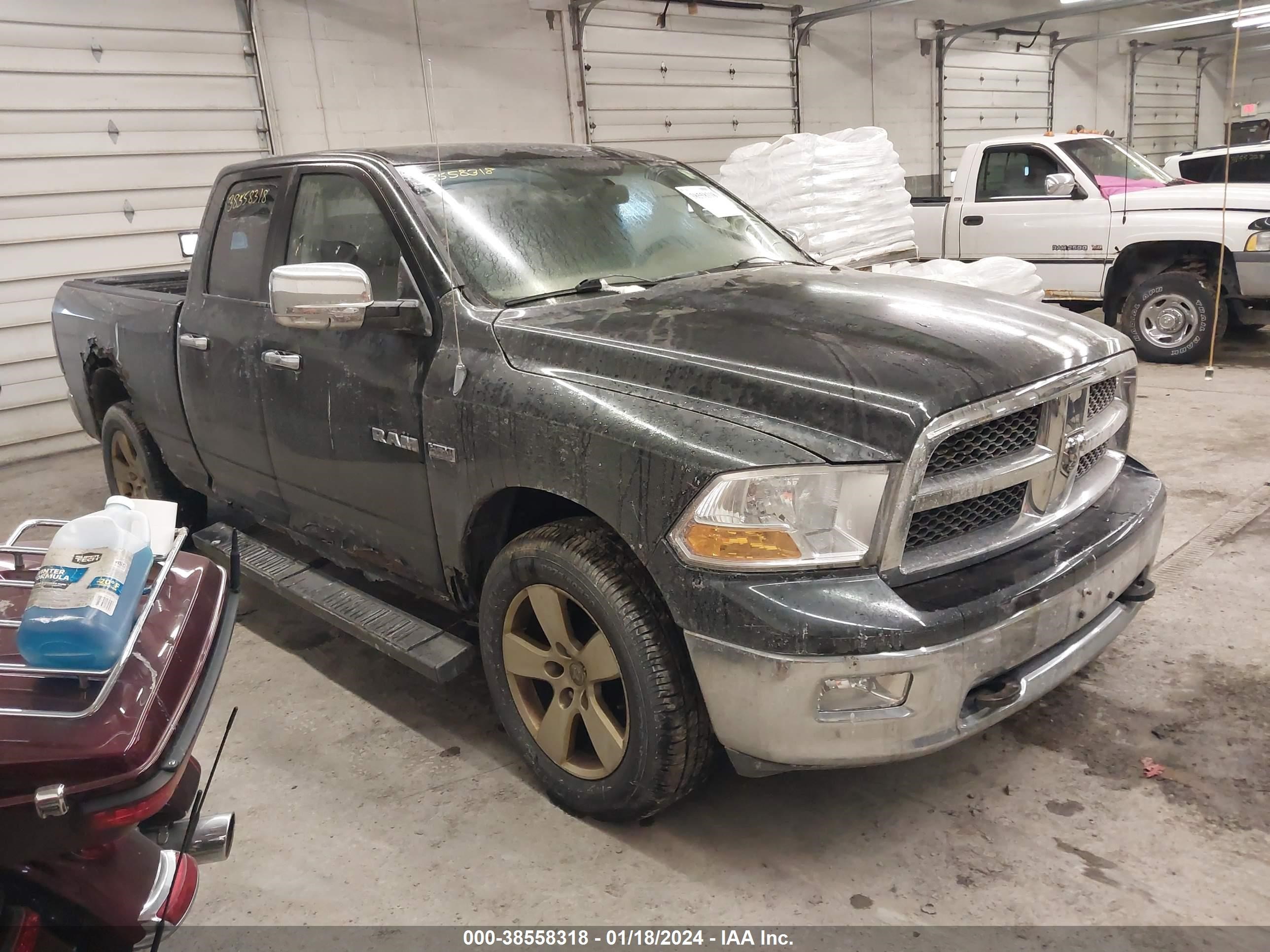 DODGE RAM 2009 1d3hv18t89s774059