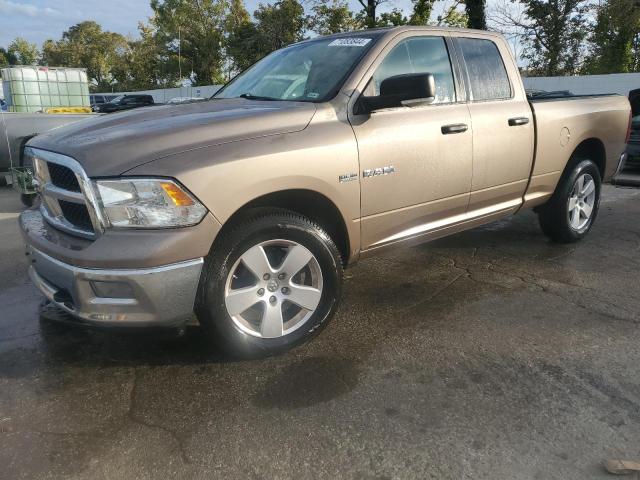 DODGE RAM 1500 2009 1d3hv18t99s738784