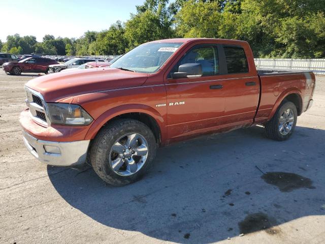 DODGE RAM 1500 2009 1d3hv18t99s814181