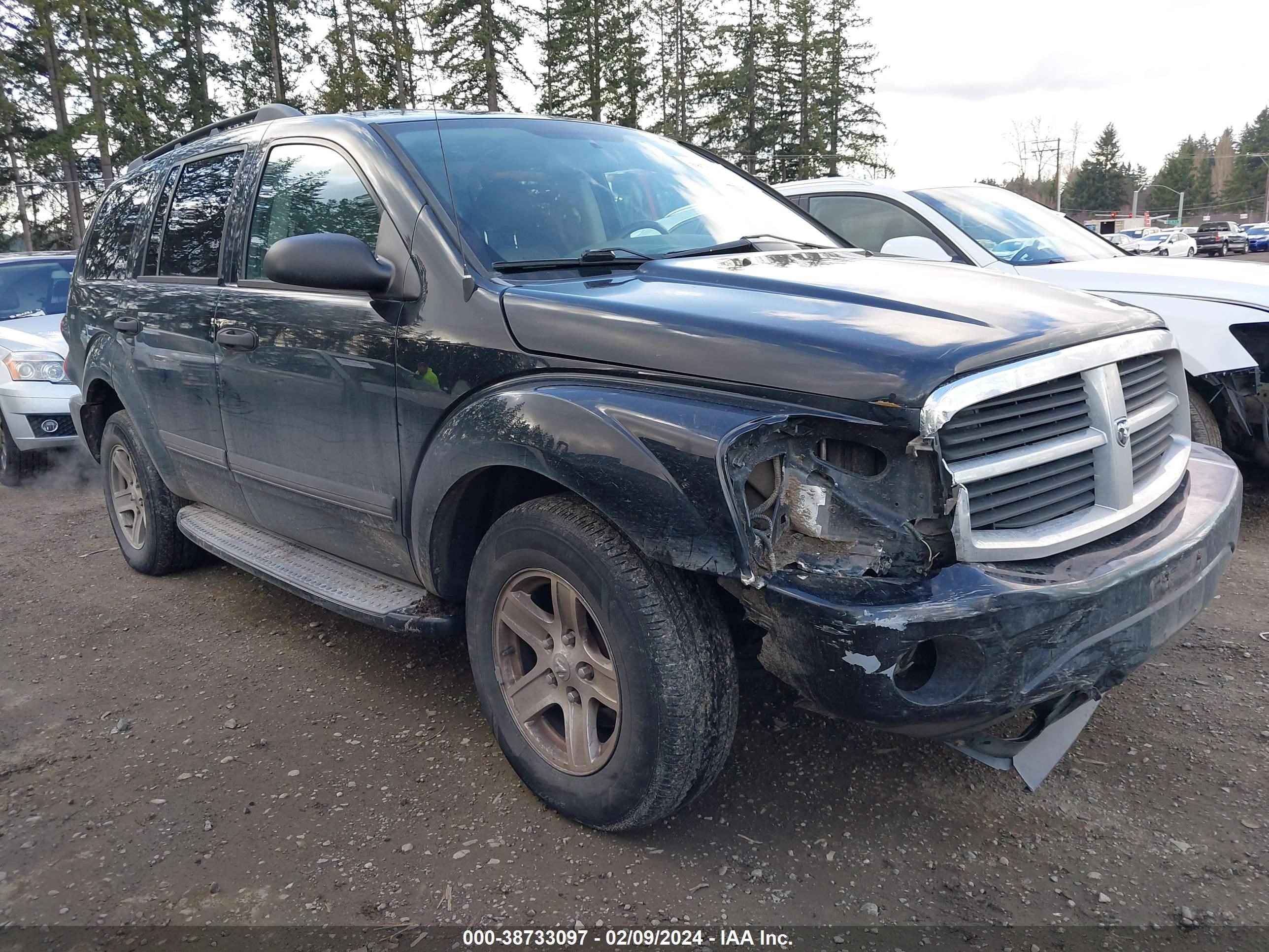 DODGE DURANGO 2006 1d4hb48296f103923