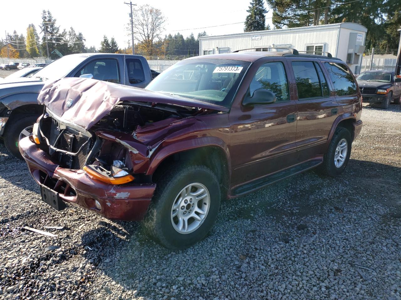 DODGE DURANGO 2003 1d4hs48n93f542822