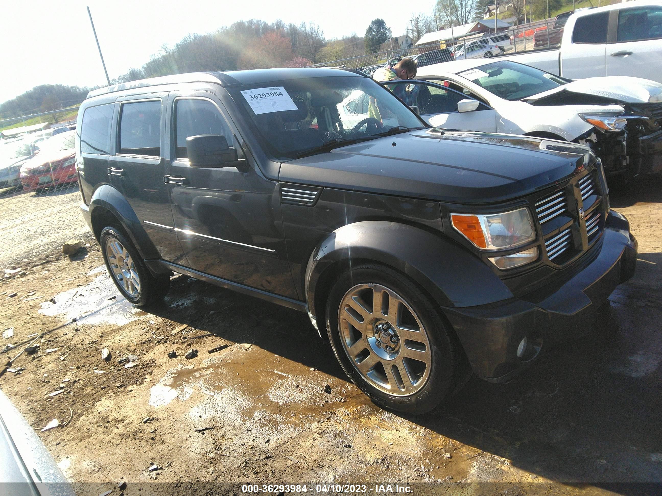 DODGE NITRO 2011 1d4pu4gk8bw587391