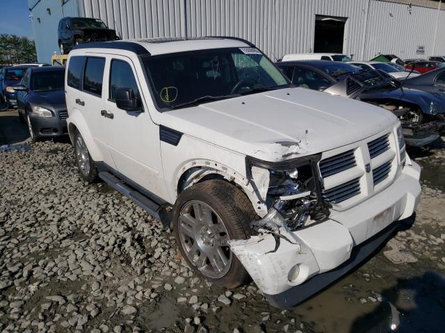 DODGE NITRO HEAT 2011 1d4pu4gx9bw516230