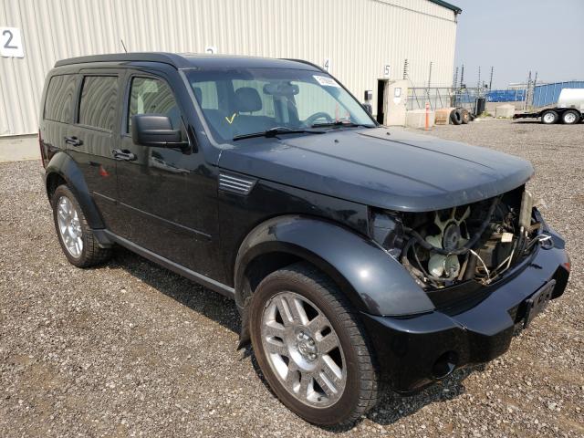 DODGE NITRO SXT 2010 1d4pu5gx4aw112546