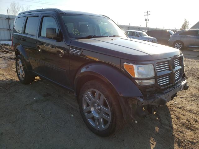 DODGE NITRO SXT 2010 1d4pu5gx6aw140817