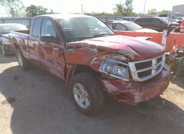 DODGE DAKOTA 2010 1d7ce3bk1as104359