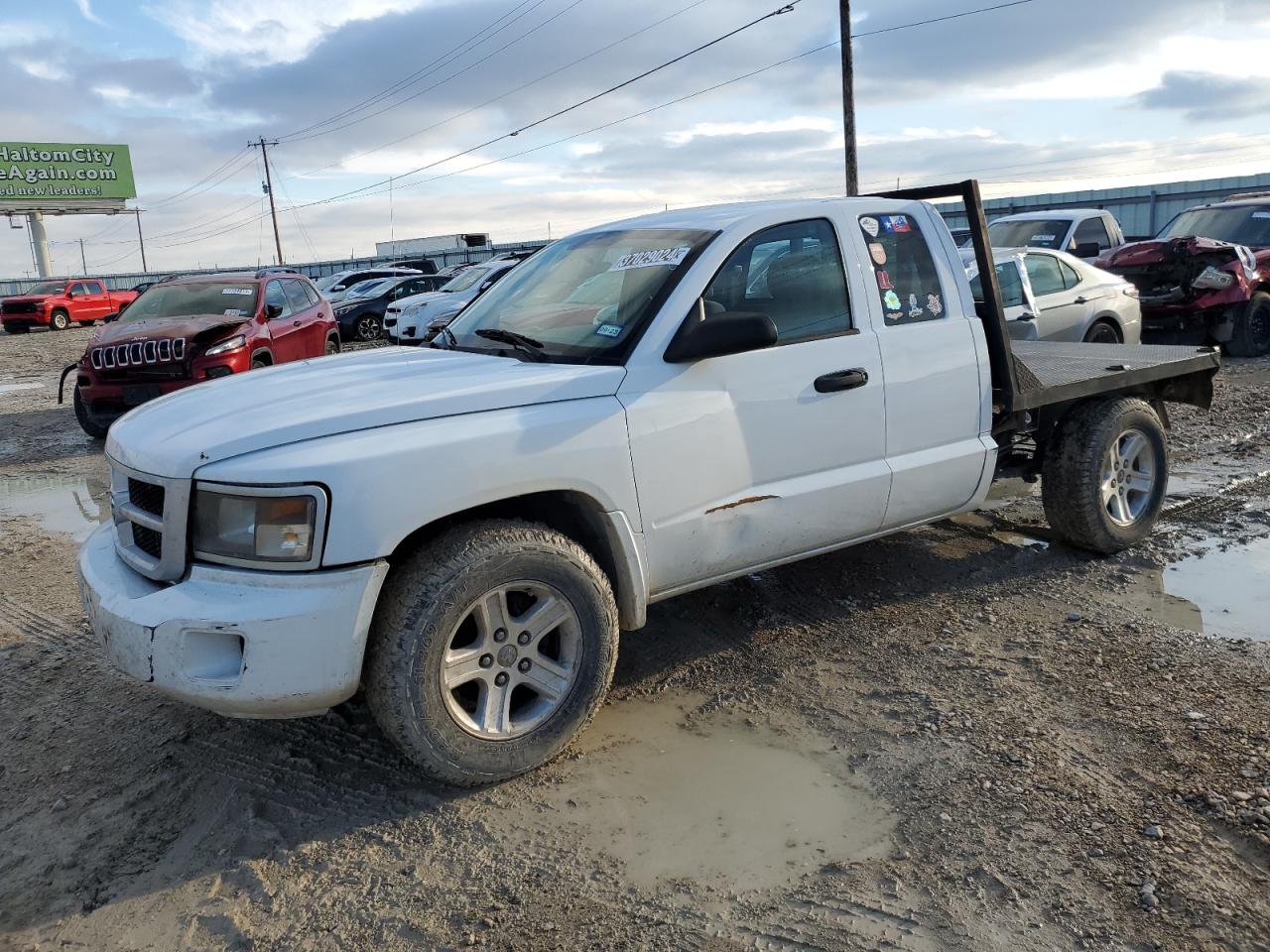 DODGE DAKOTA 2010 1d7ce3bk3as244543