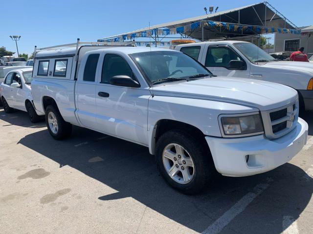 DODGE DAKOTA SXT 2010 1d7ce3bk7as178109