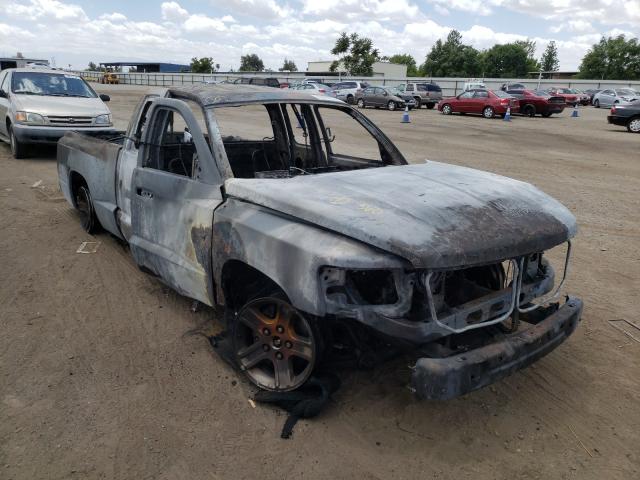 DODGE DAKOTA 2010 1d7ce3bk8as166132