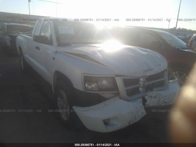 DODGE DAKOTA 2010 1d7ce3bp8as137628