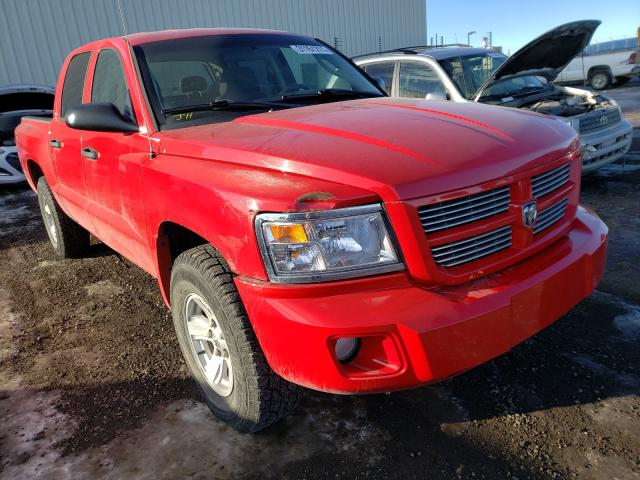 DODGE DAKOTA SXT 2010 1d7ce3gk4as199492