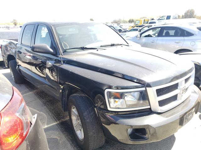 DODGE DAKOTA SXT 2010 1d7ce3gk6as154943