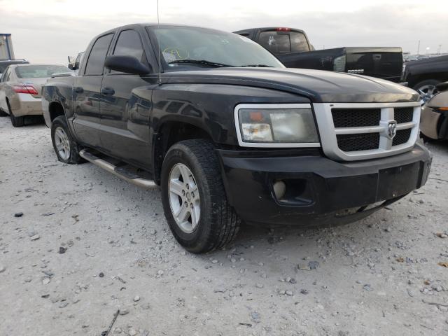 DODGE DAKOTA SXT 2010 1d7ce3gk8as173011