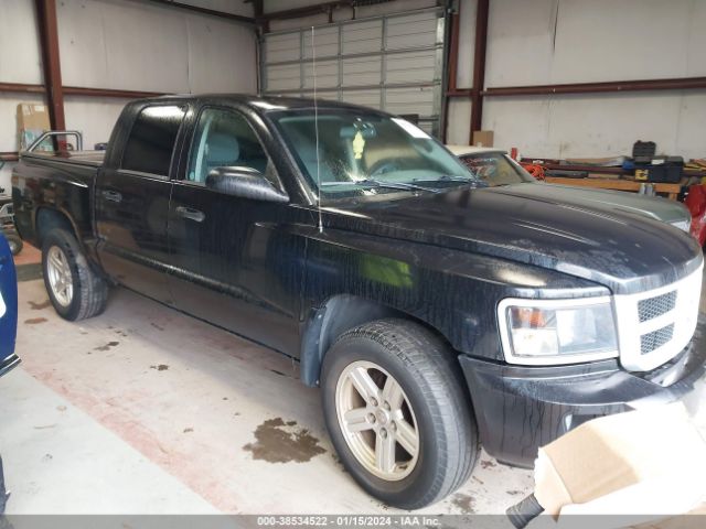 DODGE DAKOTA 2010 1d7ce3gkxas217347